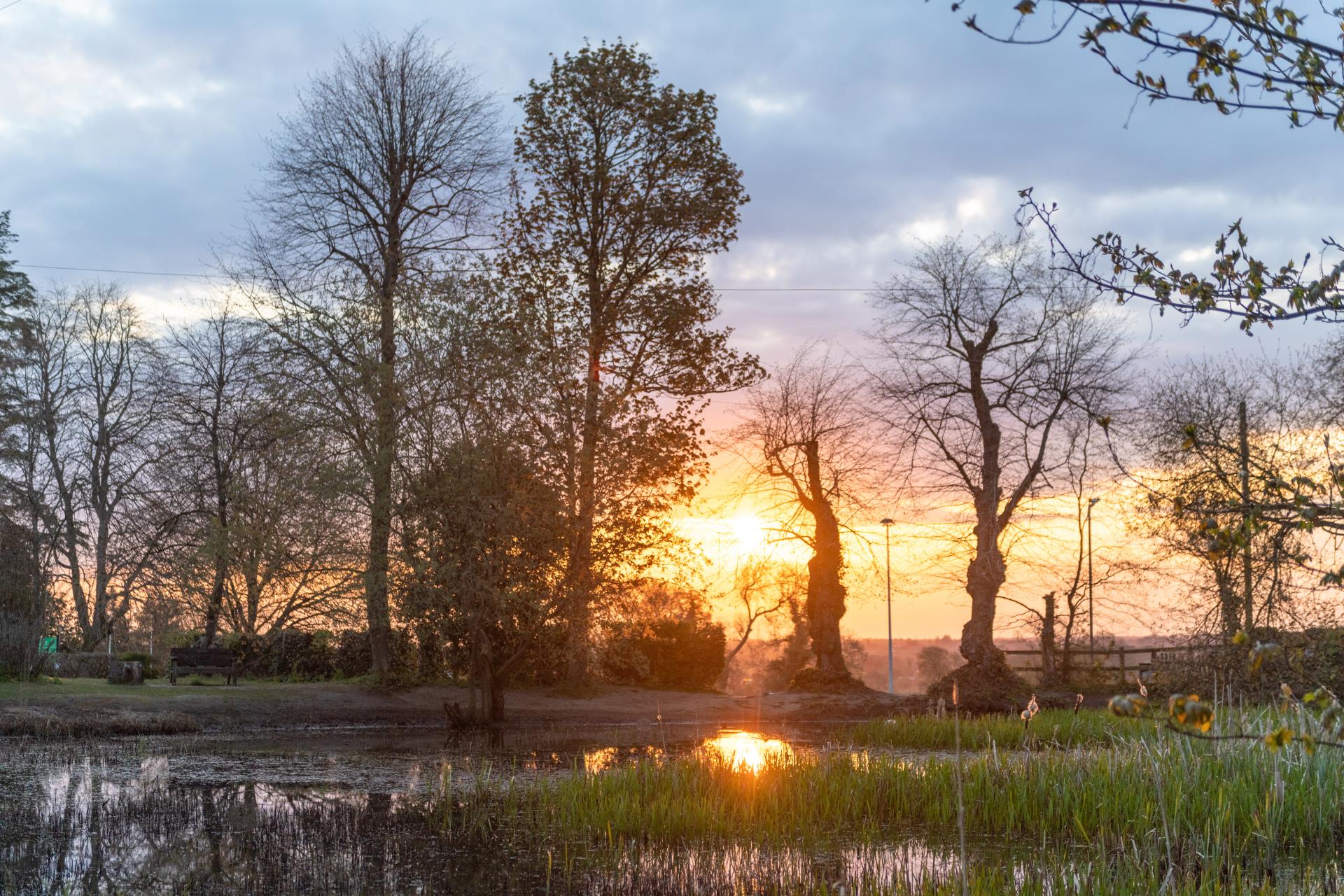 a grassy field with trees and a body of water in the background