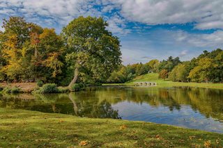a pond surrounded by trees