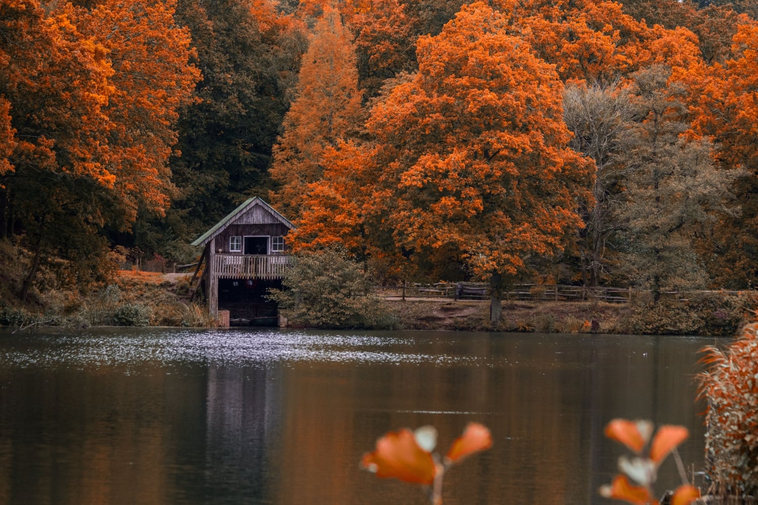 The Boathouse next to the lake at Winkworth Arboretum, surrounded by autumnal trees.