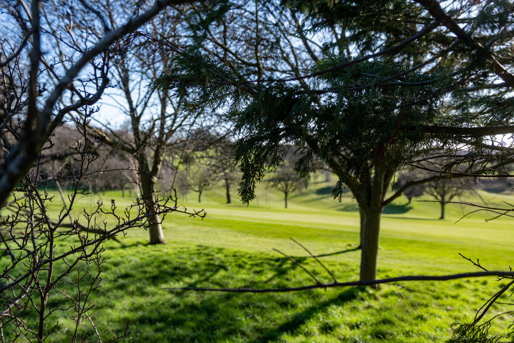 Purley Park