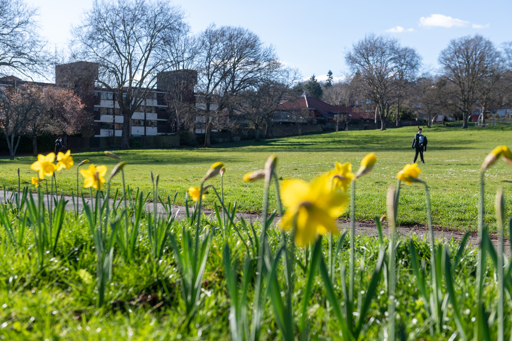 Purley Park