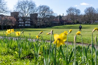 Purley Park