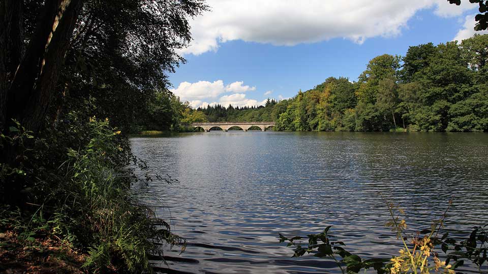 a body of water with trees around it
