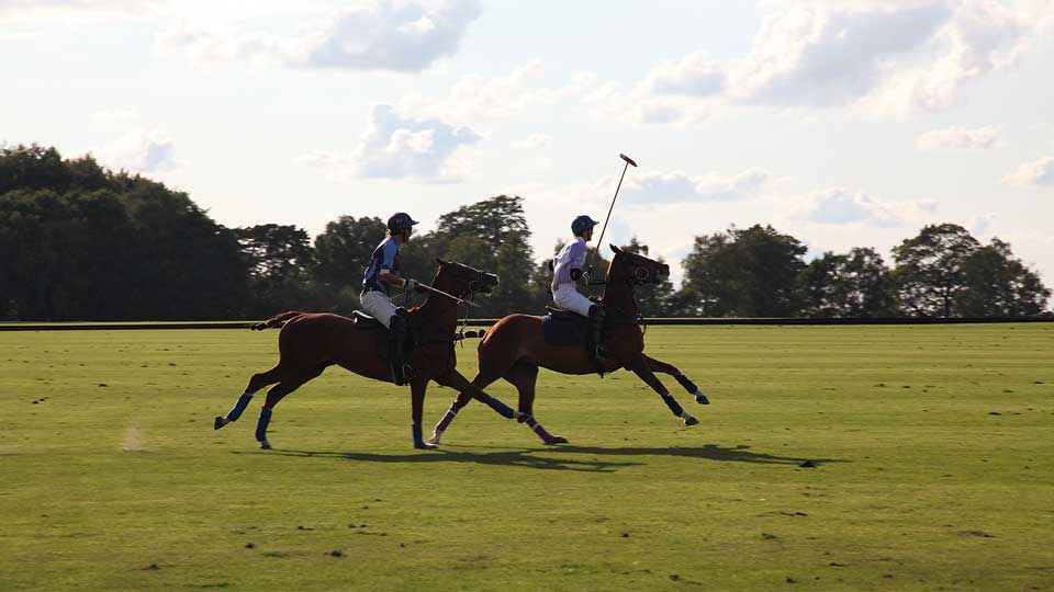 a couple of people riding horses