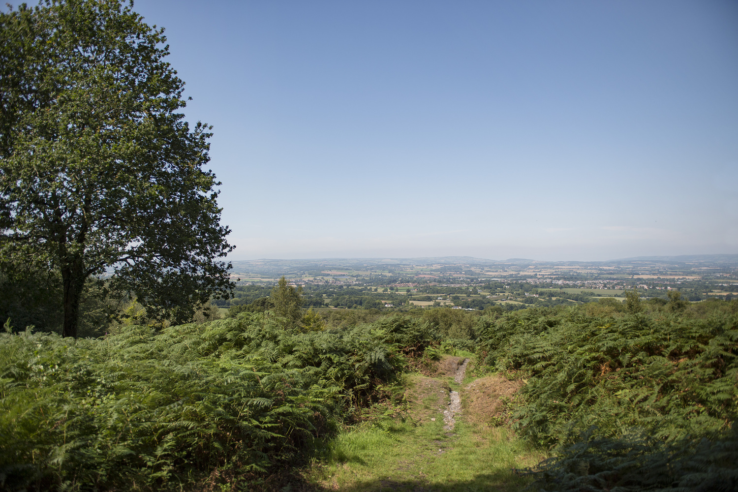 A walking path on Blackdown Hills with a view of the countryside.