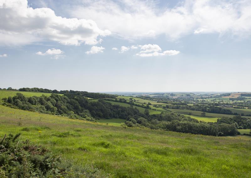 Bulbarrow Hill 1