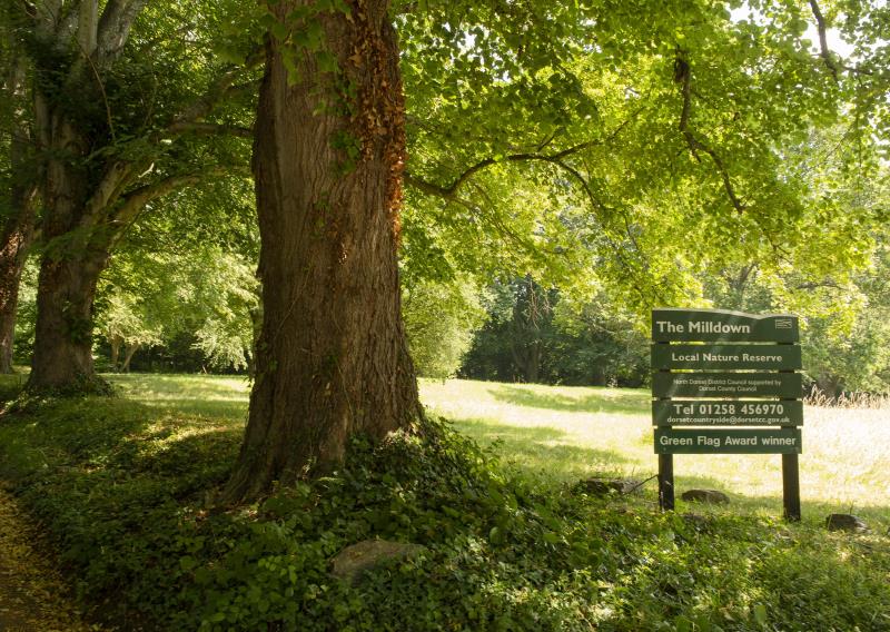 Milldown Nature Reserve