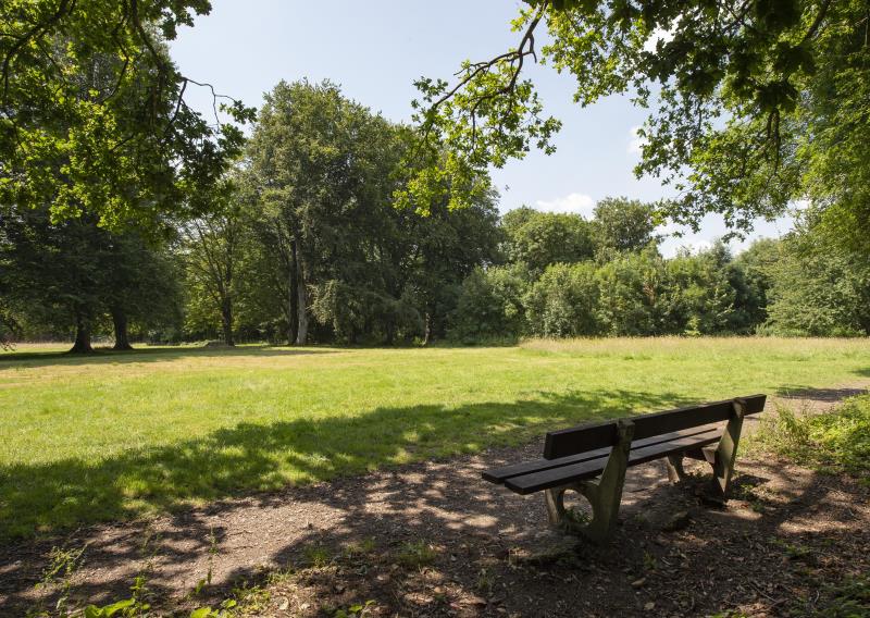 Milldown Nature Reserve 2