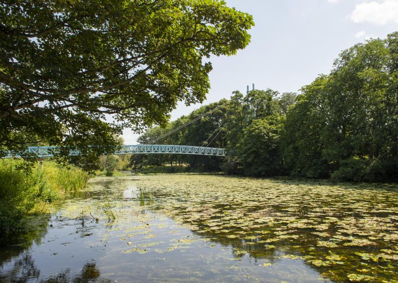 River Stour 1