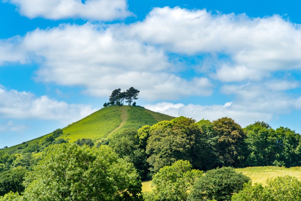 Colmer's Hill in Dorset