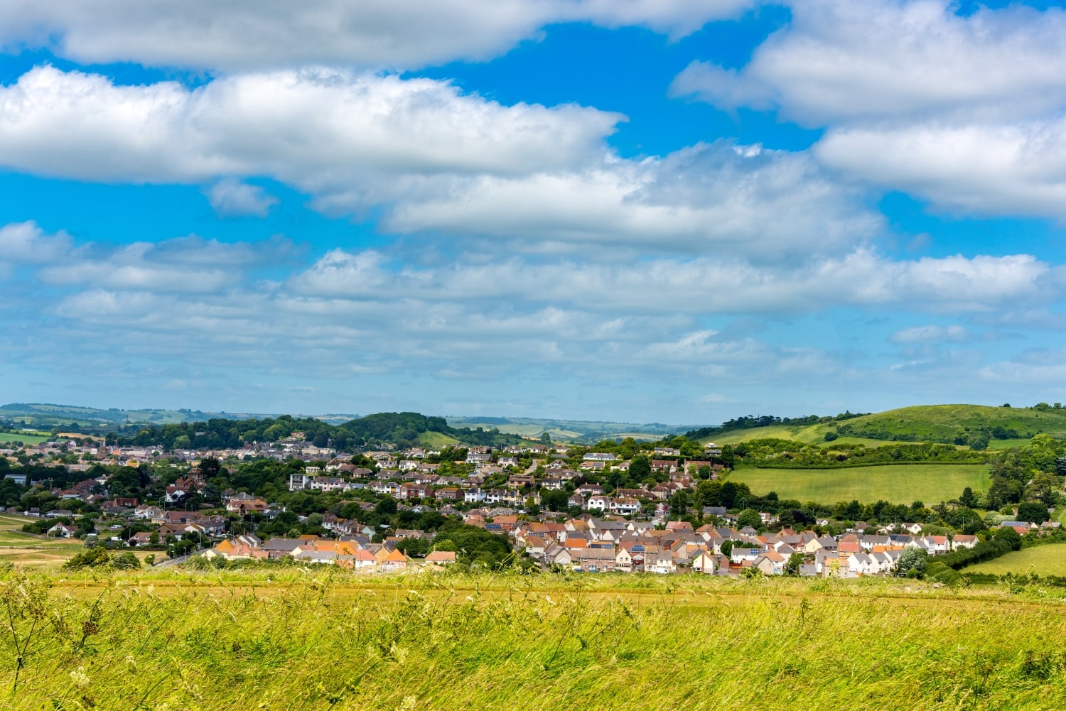 A view of Bridport from hills to the south of the Dorset town.
