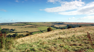 a grassy field with hills in the background