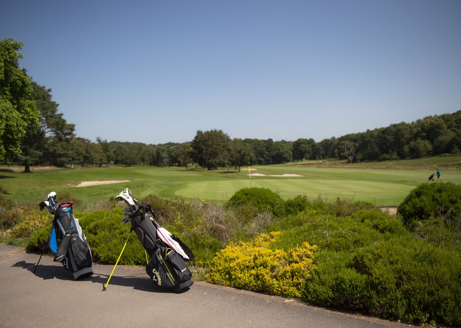 A golf course with a golf bag and golf clubs close to the market town of Wimborne, Dorset.