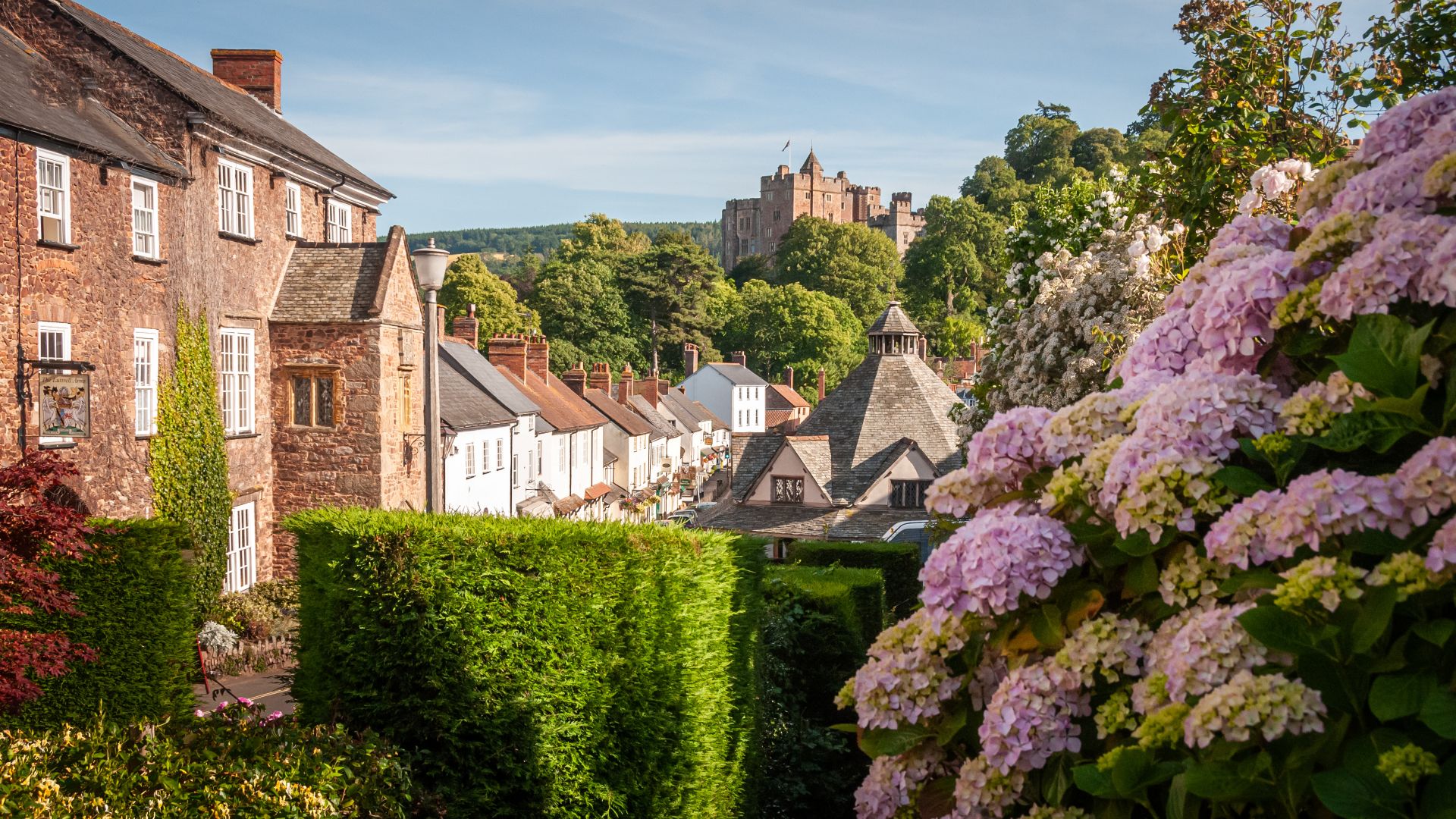 a group of houses in Dunster village with flowering bushes in front of them with Dunster Castle in the distance