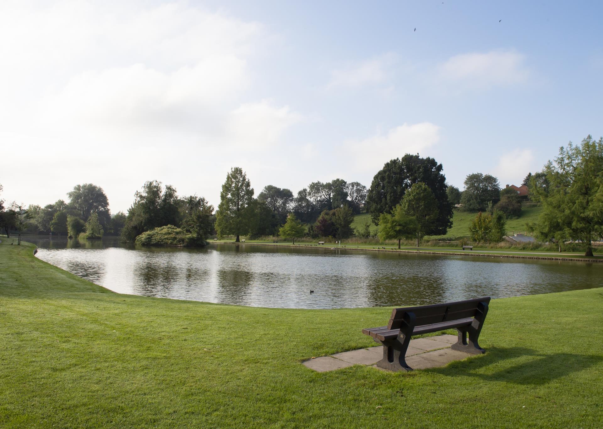 a bench next to a pond