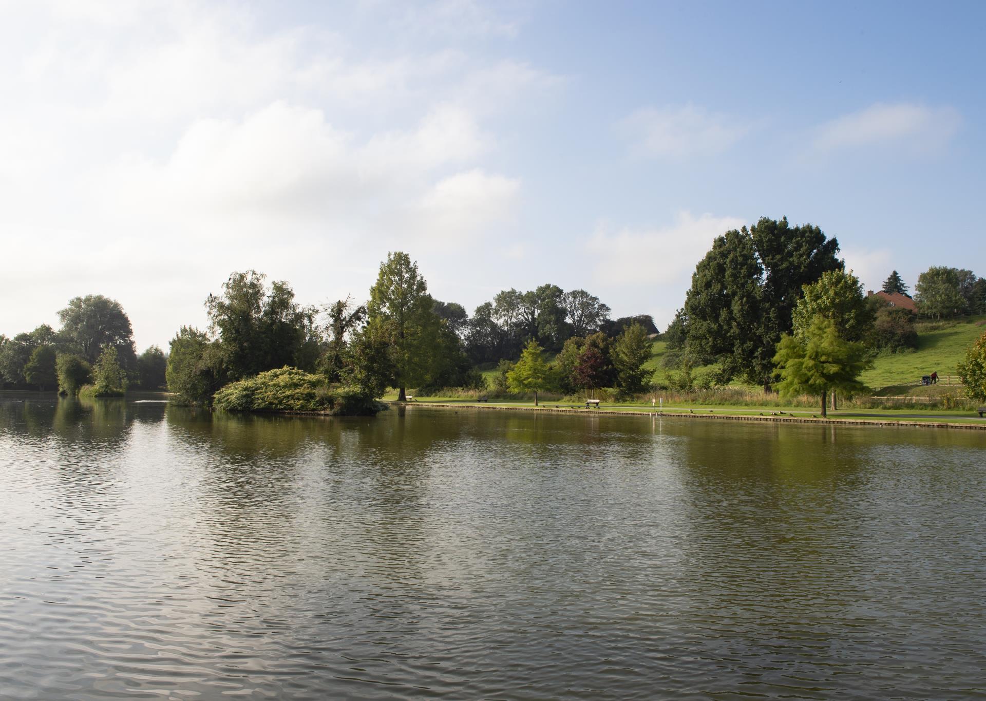 a body of water with trees in the background
