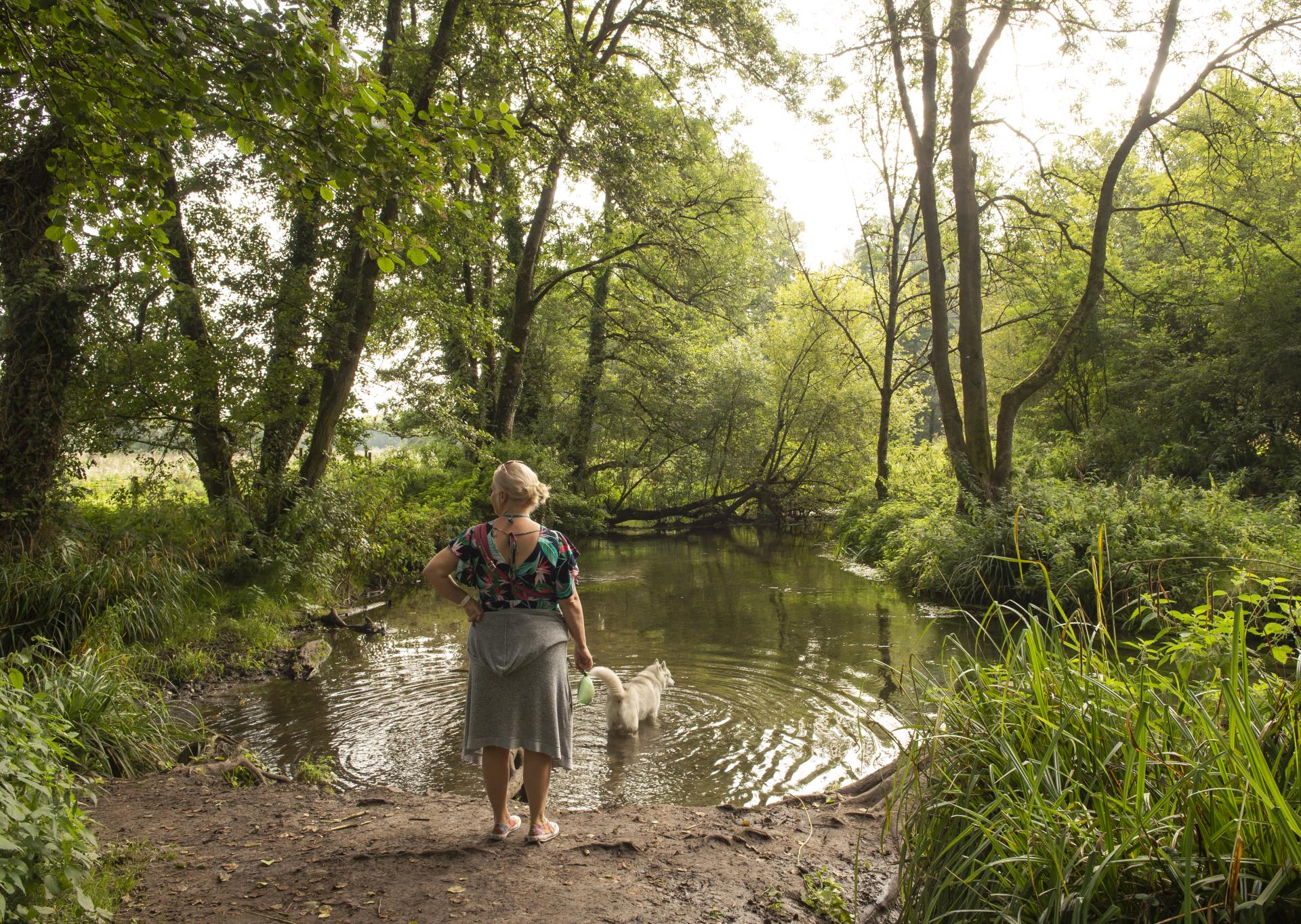 a person walking a dog in a forest