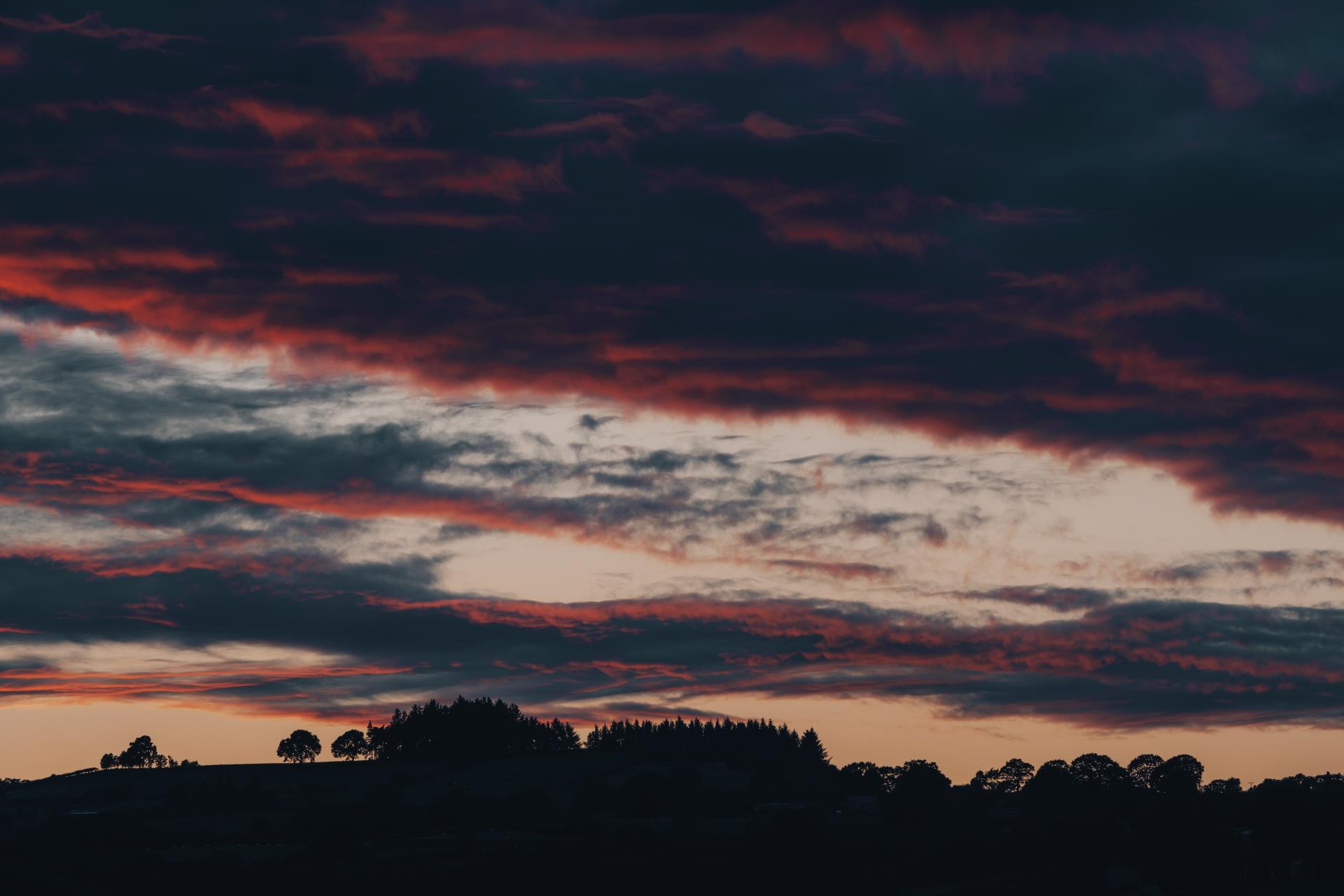 a sunset over a forest