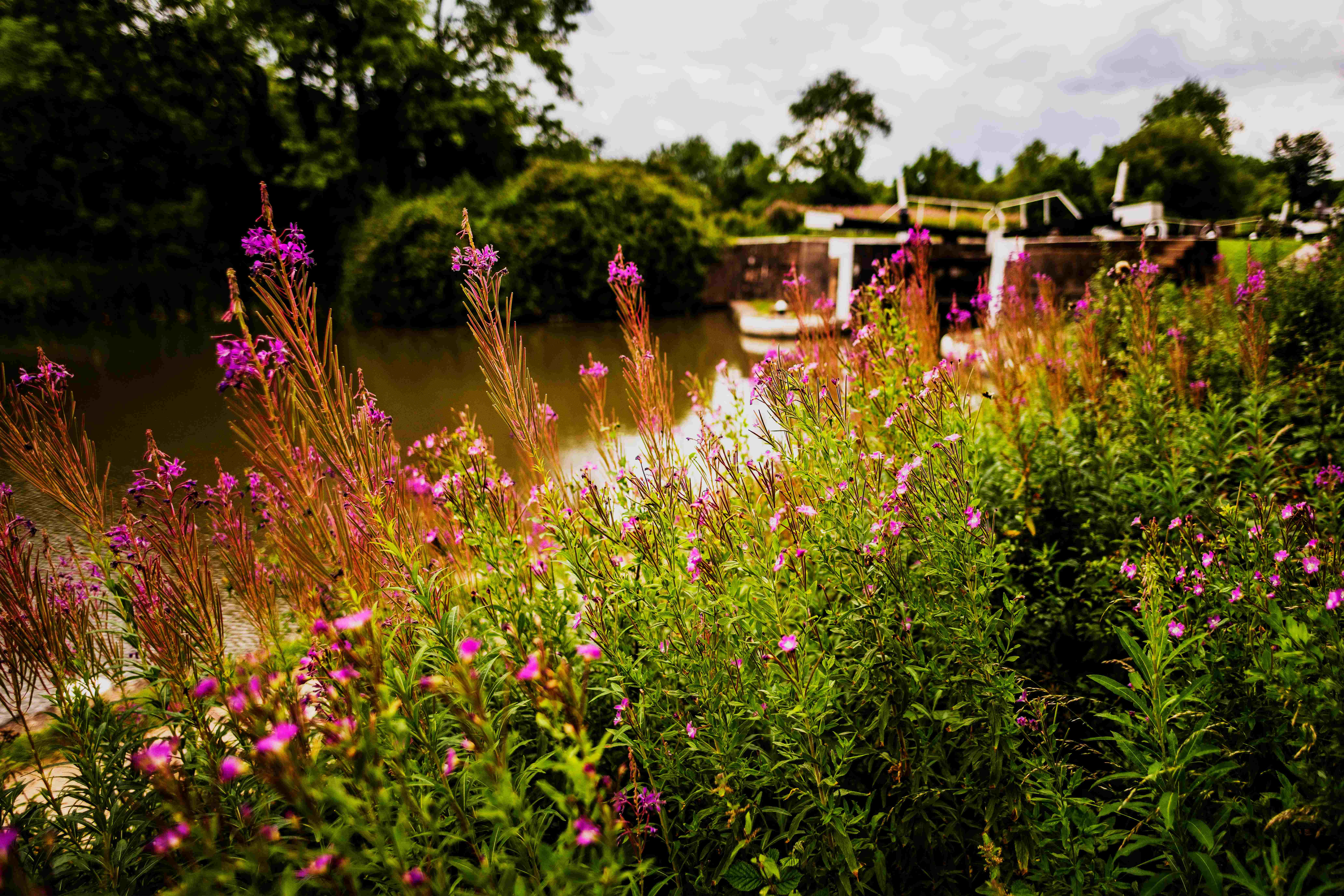 Hatton Locks grand union canal Warwickshire,