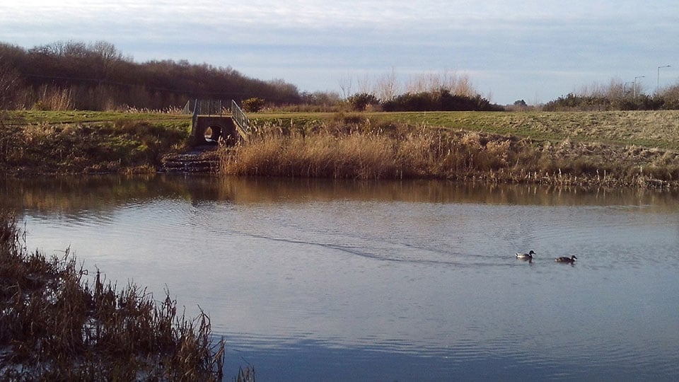 a bridge over a body of water