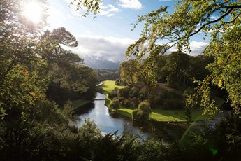 a river with trees and grass