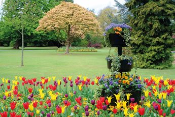 Tulips and other flower arrangements in a park in Edgbaston.