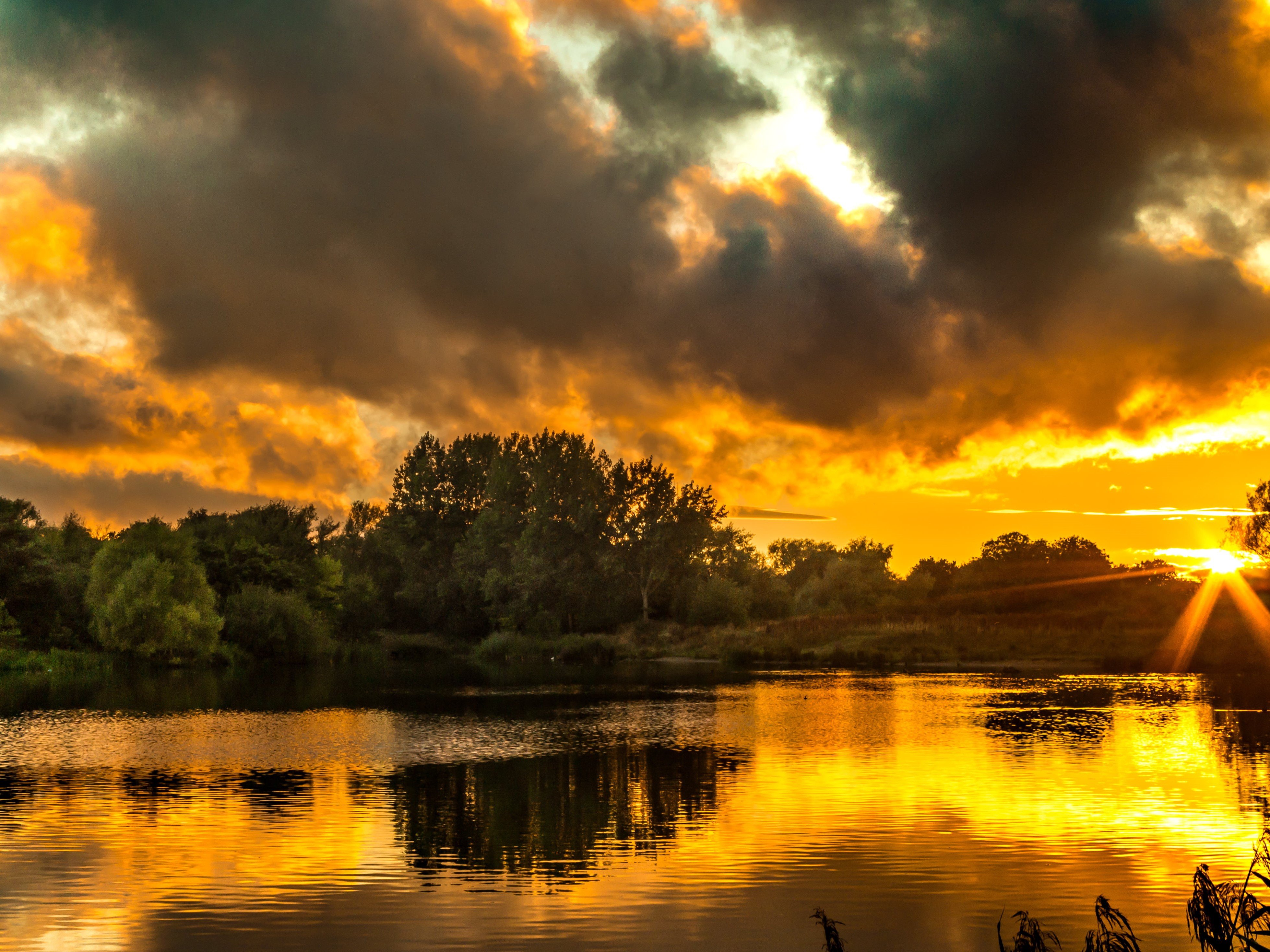 a body of water with trees and a sunset in the background