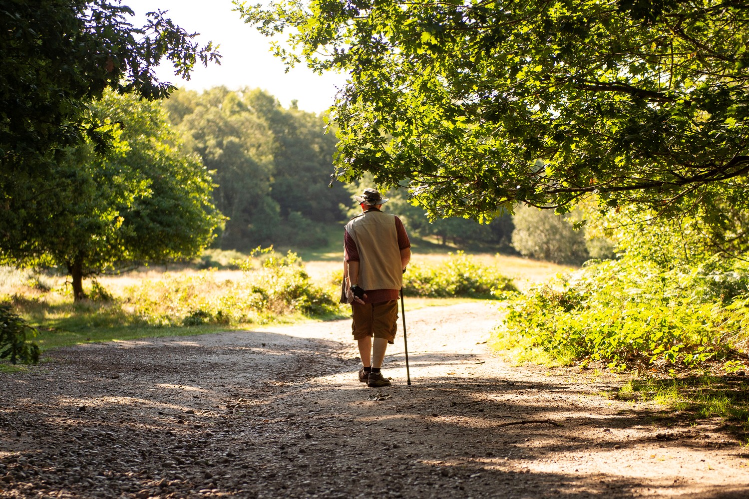 A retired man enjoys a leisurely stroll through a wooded area in Sutton Coldfield.