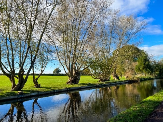 Canal view Wombourne West Midlands 