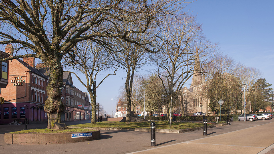 a street with trees and buildings
