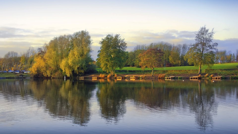 a body of water with trees around it