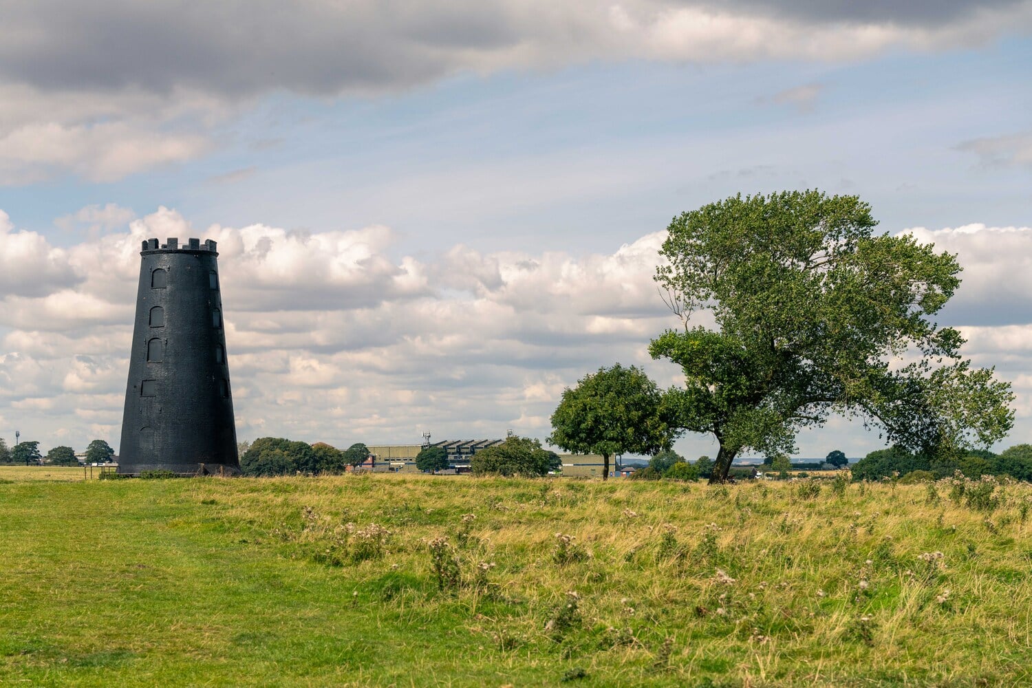 View of the Black Mill on Beverley Westwood