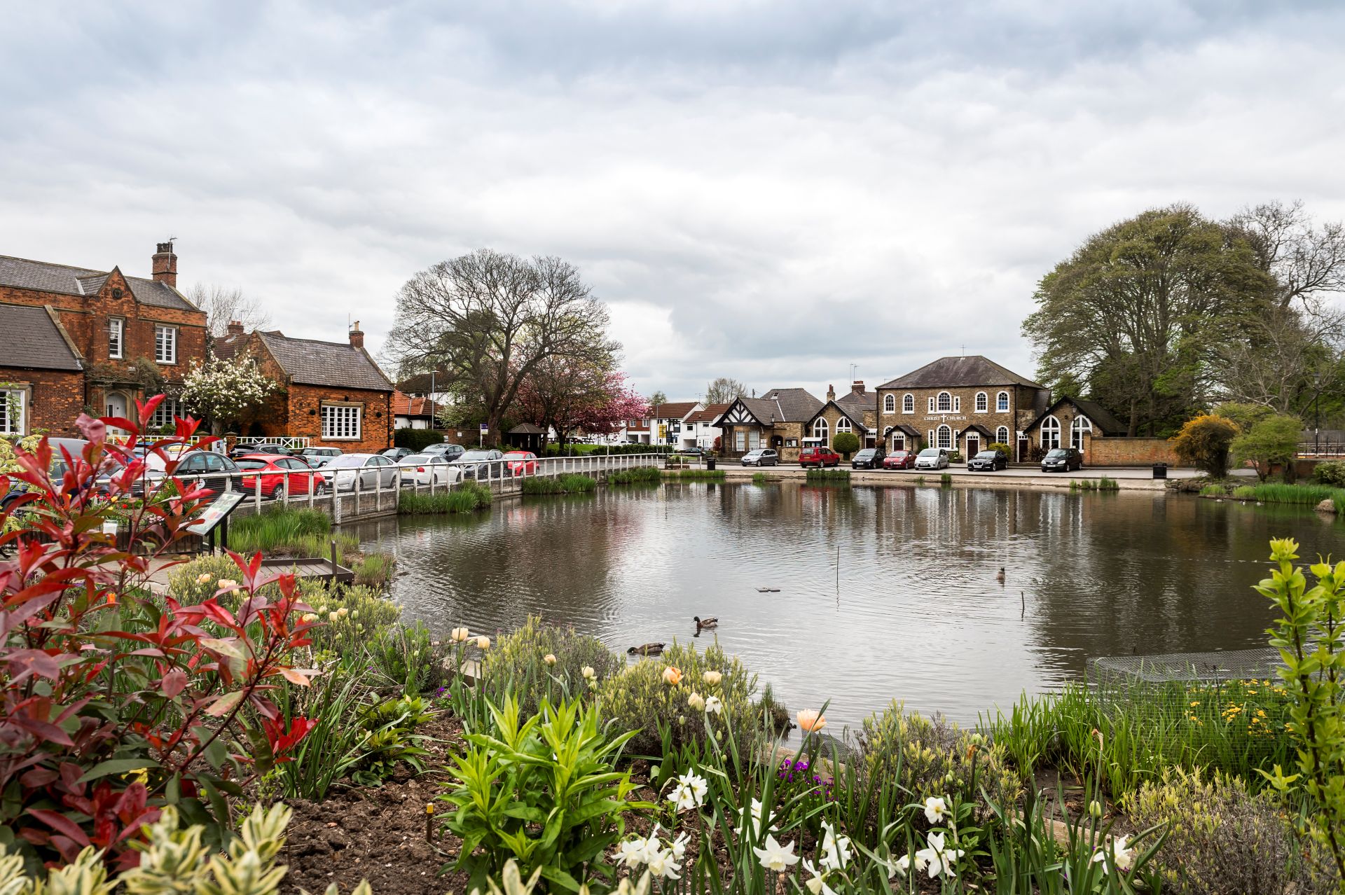 a pond with plants and buildings around it