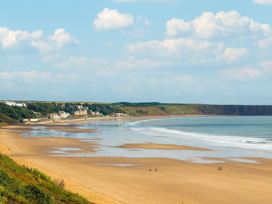a beach with a body of water and trees in the background