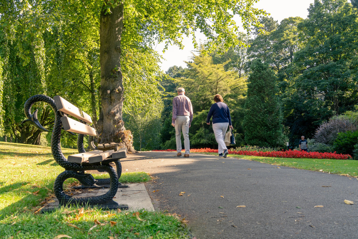 Two seniors enjoying a stroll through a green park in Harrogate.