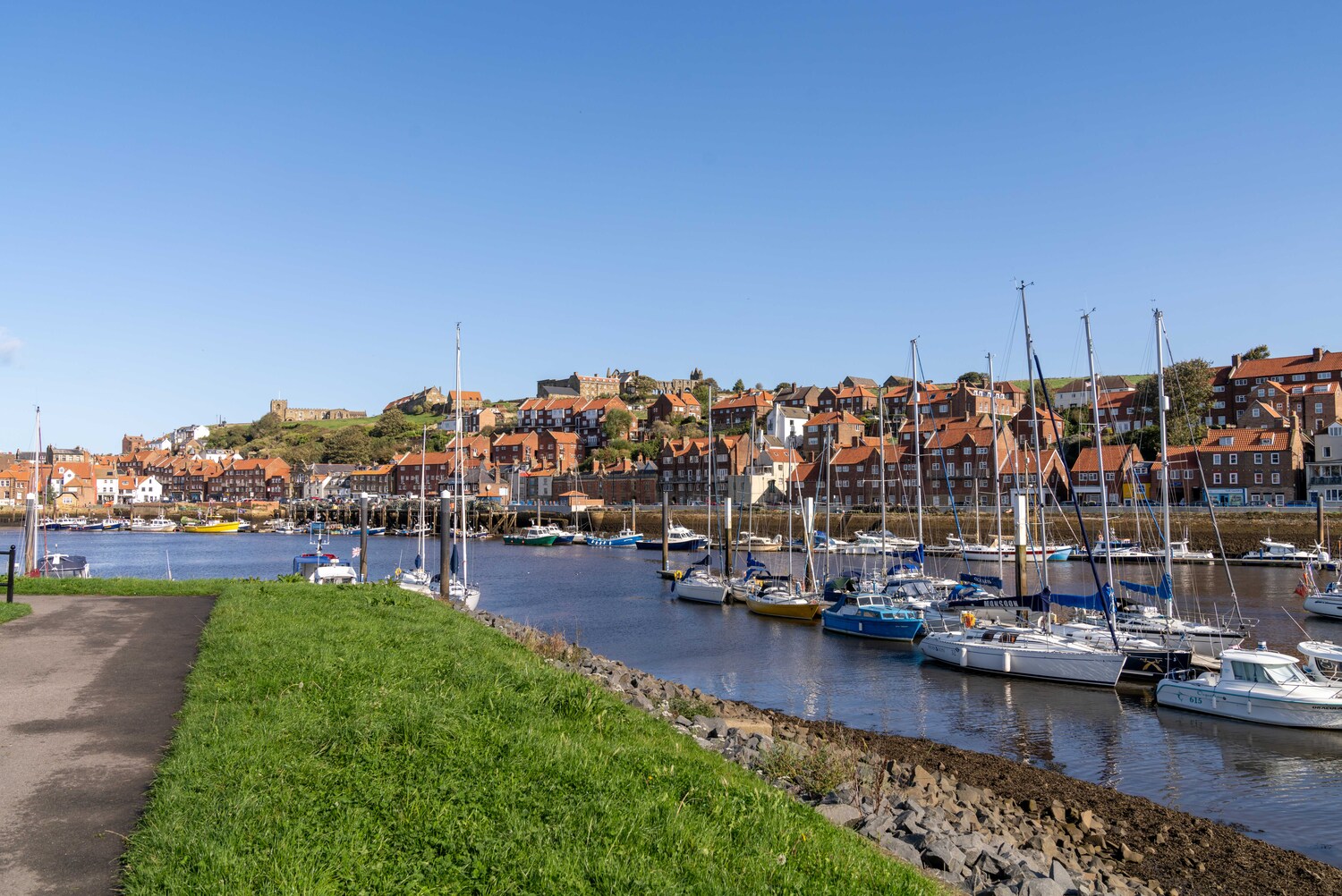Sailboats docked in Whitby marina, with houses and the Abbey in the background.