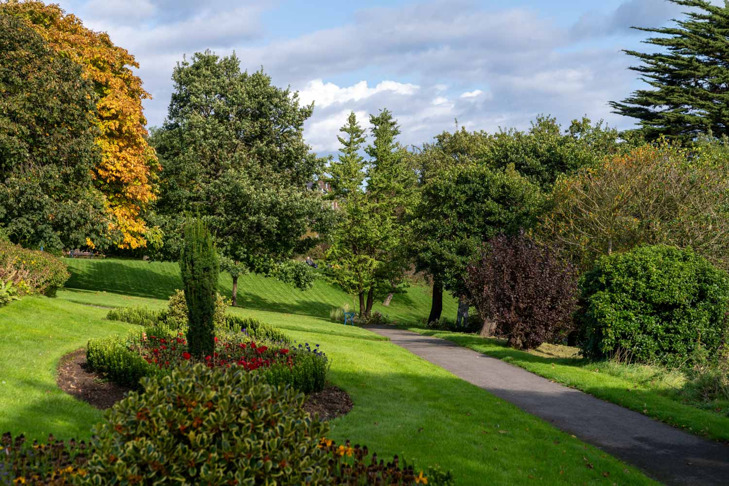 Green grass and trees in one of the many parks in Whitby