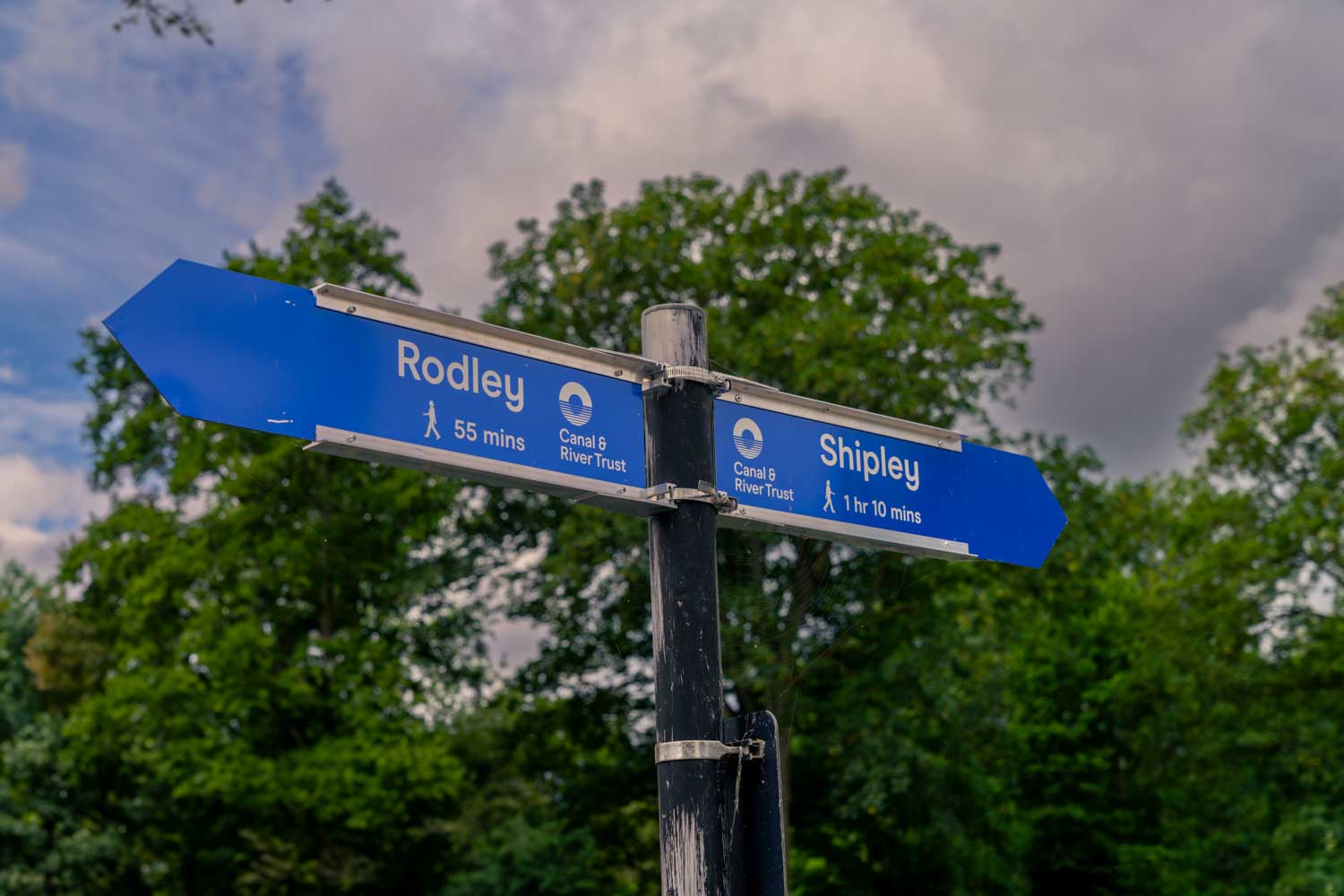 a street sign is posted on a pole