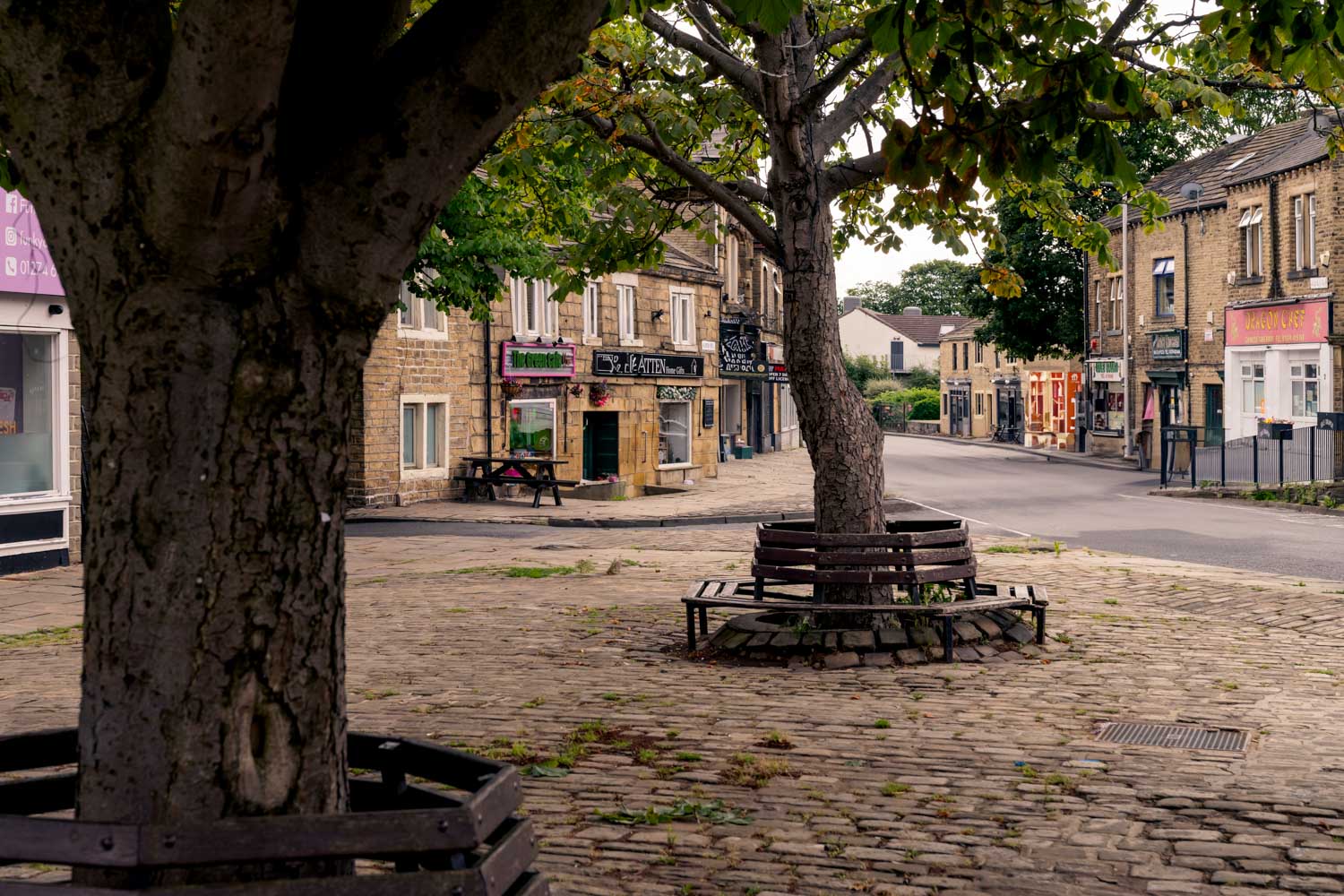 a tree on a sidewalk