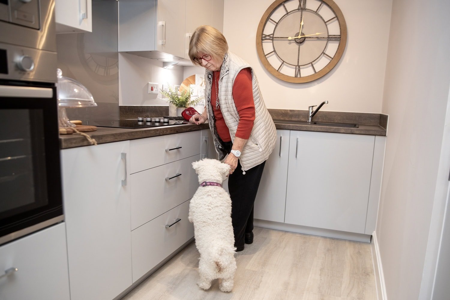 A senior homeowner feeding their dog in the kitchen of their retirement home