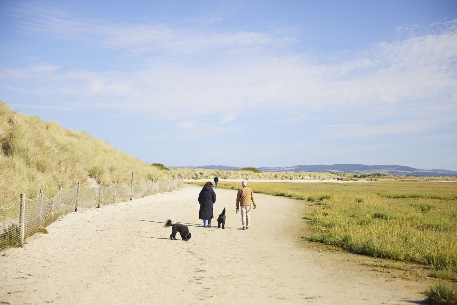 A group of people walking dogs on a beach.