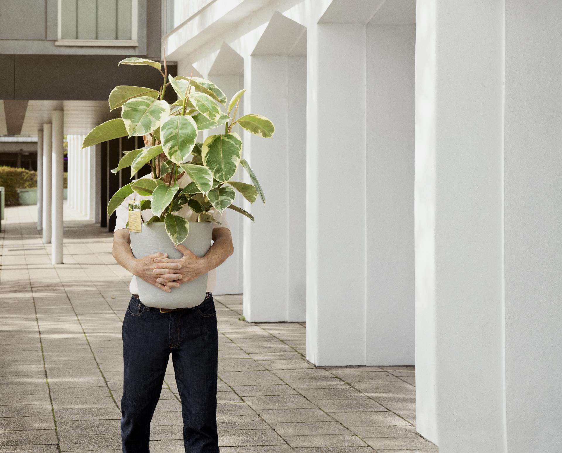 a person holding a potted plant