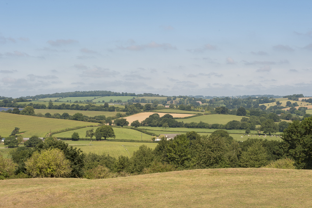 Where can I find property to rent for over 60s near me