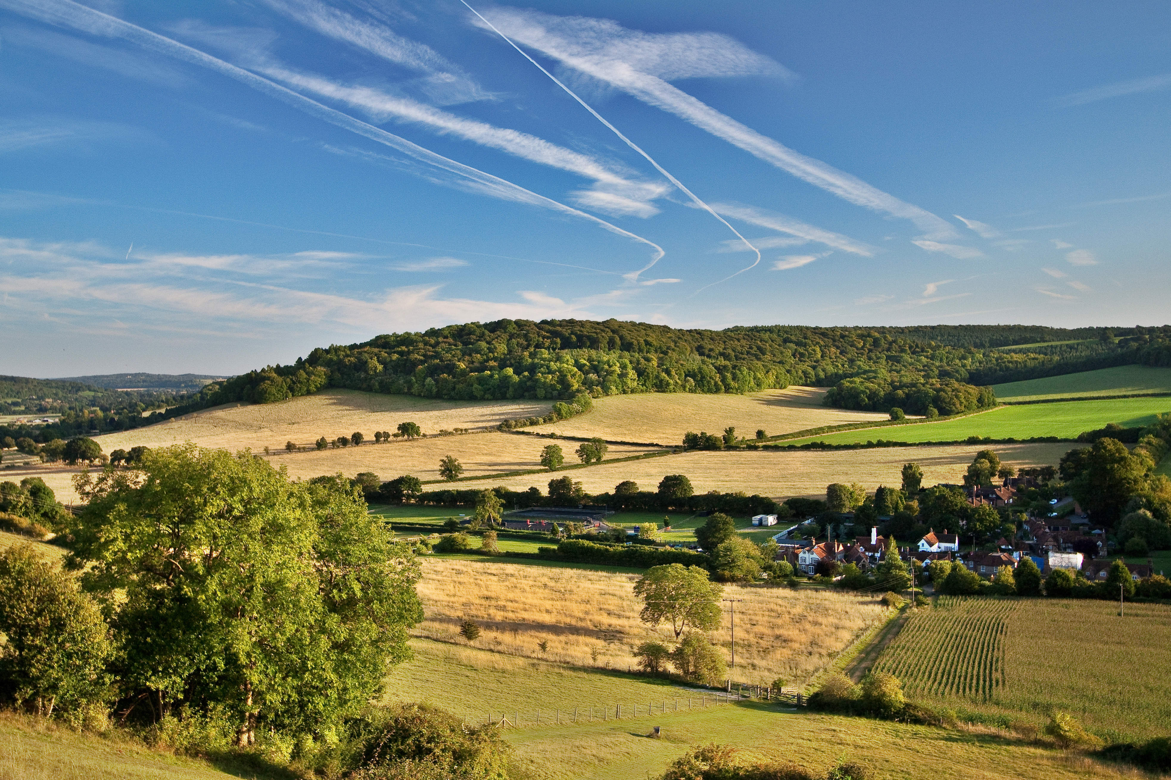a landscape with trees and houses
