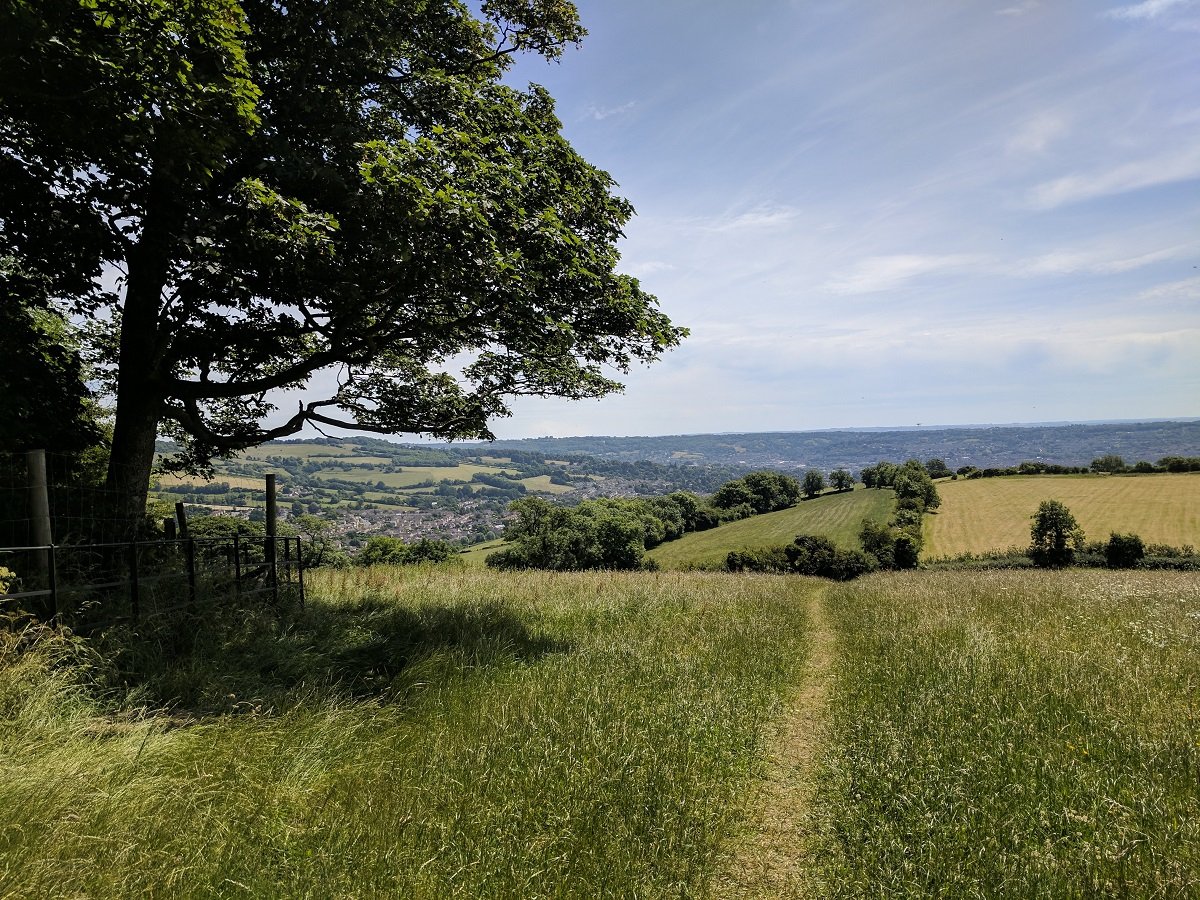 Somerset countryside
