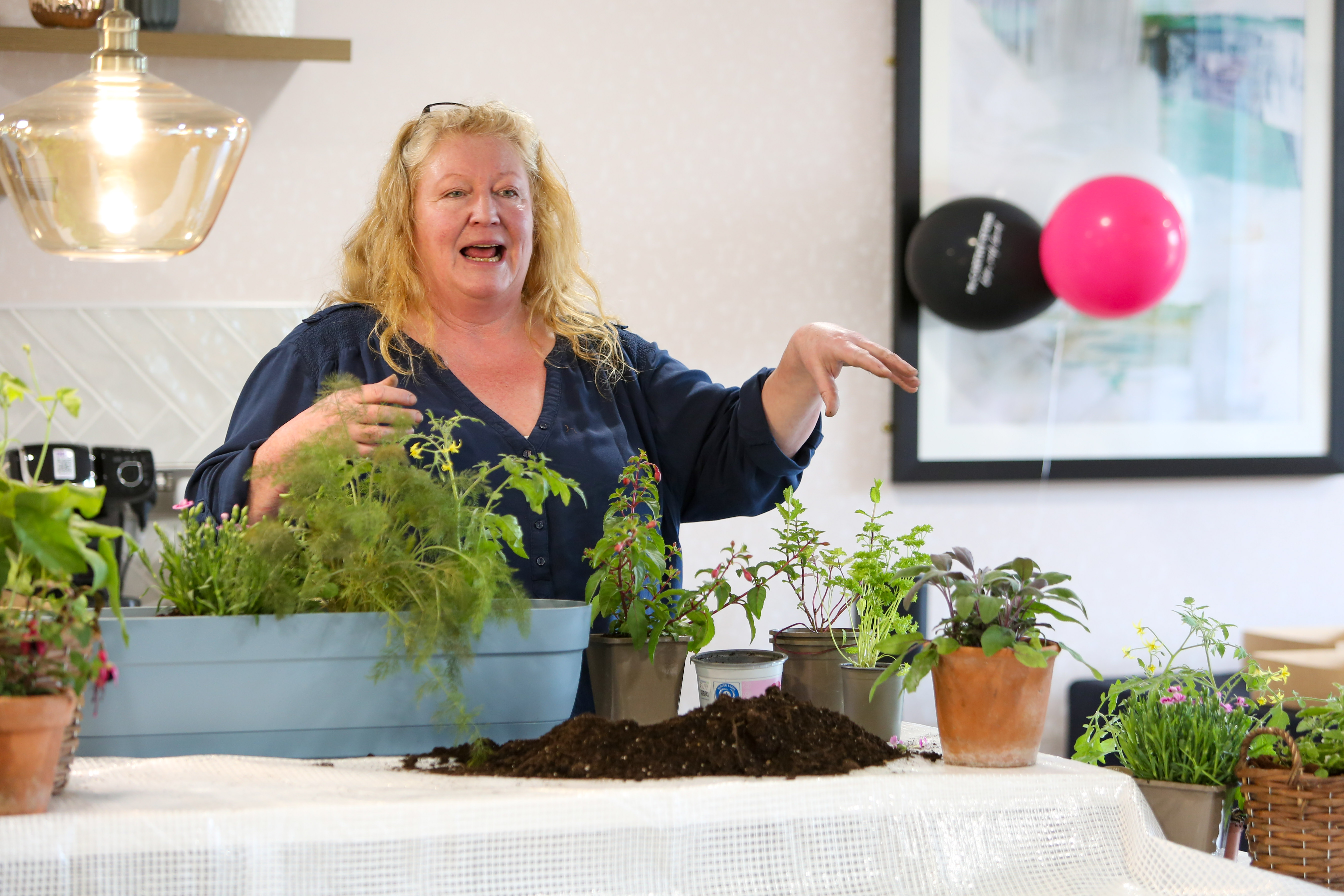 STOUR GATE - Charlie Dimmock