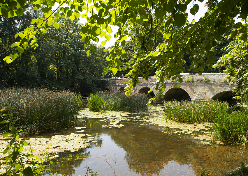 Nature walk & talk event in Blandford St. Mary