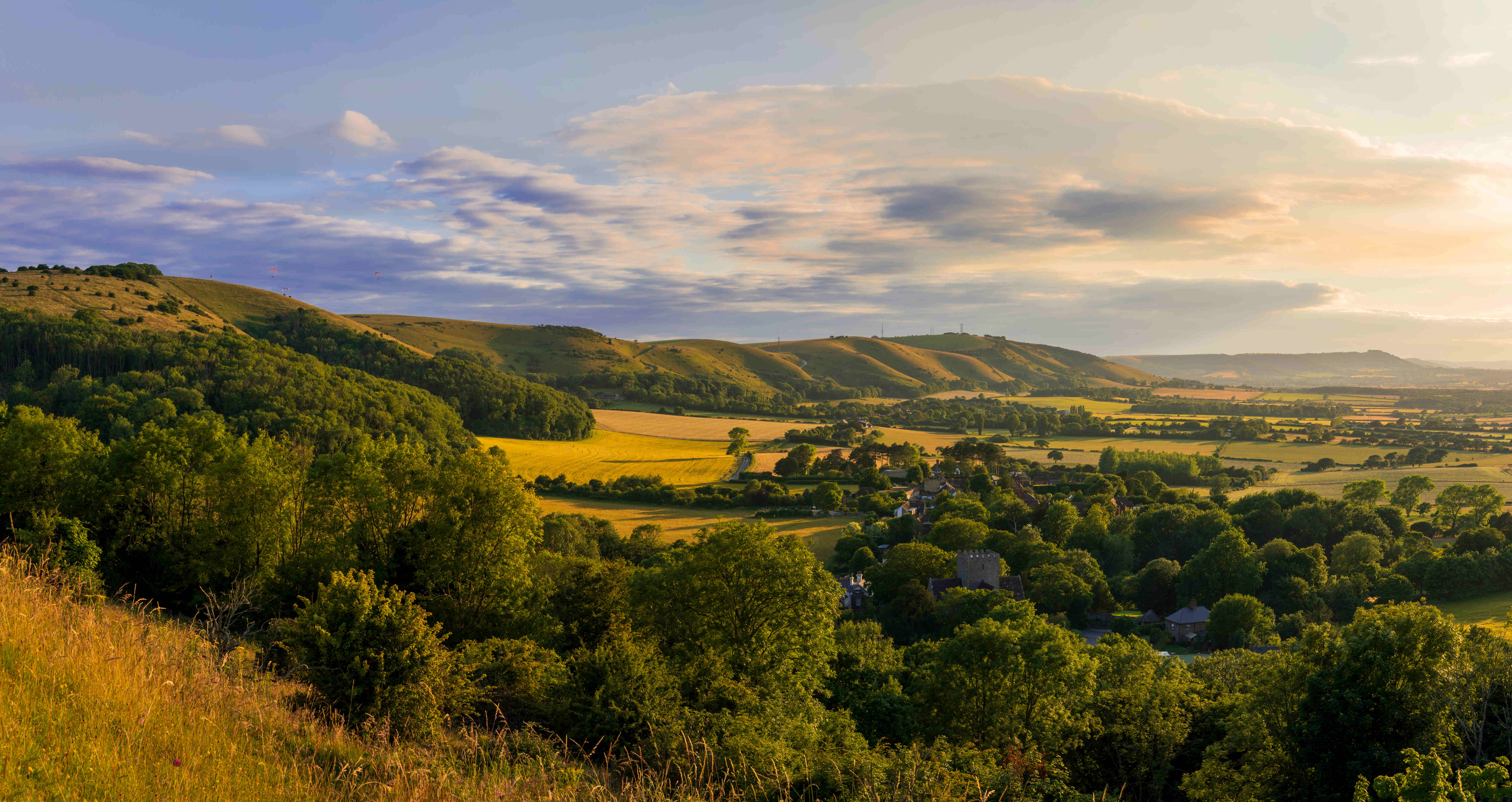 a landscape with trees and hills